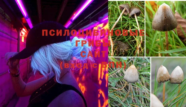 амф Алексеевка