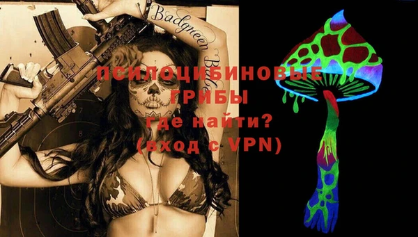 ешки Нефтегорск