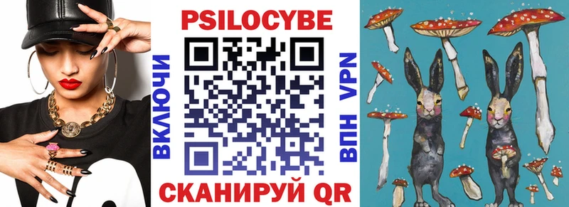 Псилоцибиновые грибы мицелий закладка Сортавала